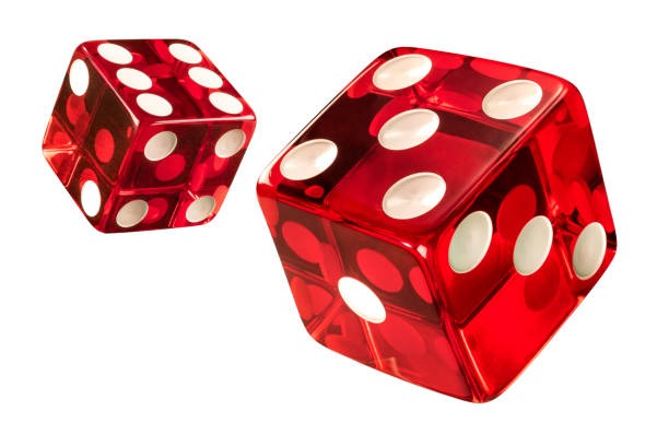 togel4d Bingo